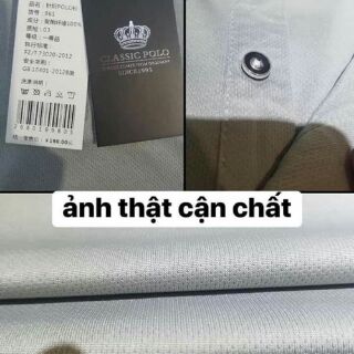 Áo CLASSIC POLO