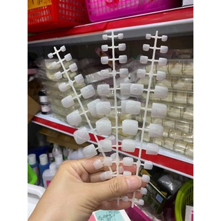 Móng Úp Chân HSM Form Chuẩn