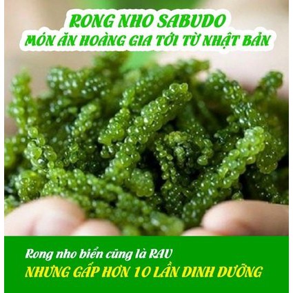 Rong nho sabudo Nhật Bản - 1 Gói 20gr | BigBuy360 - bigbuy360.vn