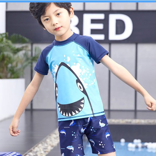 Sét bộ đồ bơi bé trai size 10-40kg họa tiết cá mập