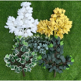 Cành lá si viền vàng trắng xanh