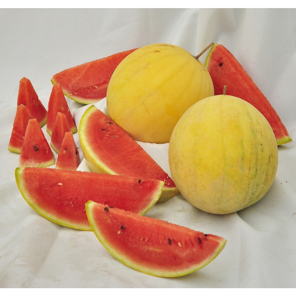 Hạt Giống Dưa Hấu Vỏ Vàng (tặng kèm phân bón)