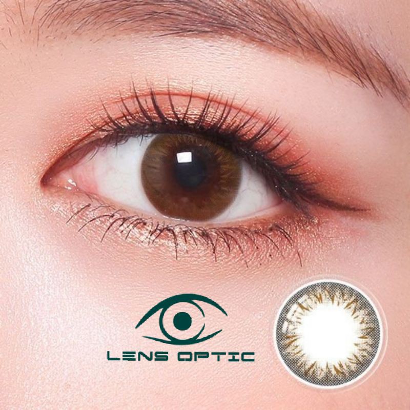 Kính áp tròng 1 ngày màu Latin Clalen iris, lens mắt màu nâu có độ cận