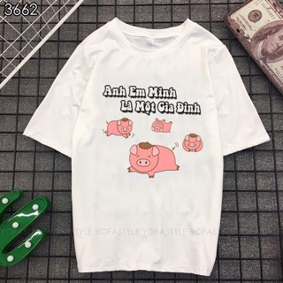 Bộ hình áo thun con heo