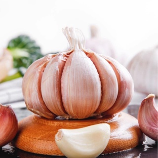 1KG củ tỏi nhiều nhánh lớn