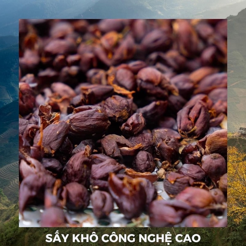 Trà Cascara làm từ Vỏ cà phê sạch Sơn la