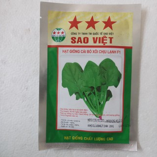 hạt giống rau cải bó xôi Sao Việt- loại rau rất tốt cho sức khỏe,là rau ăn dặm cho trẻ nhỏ