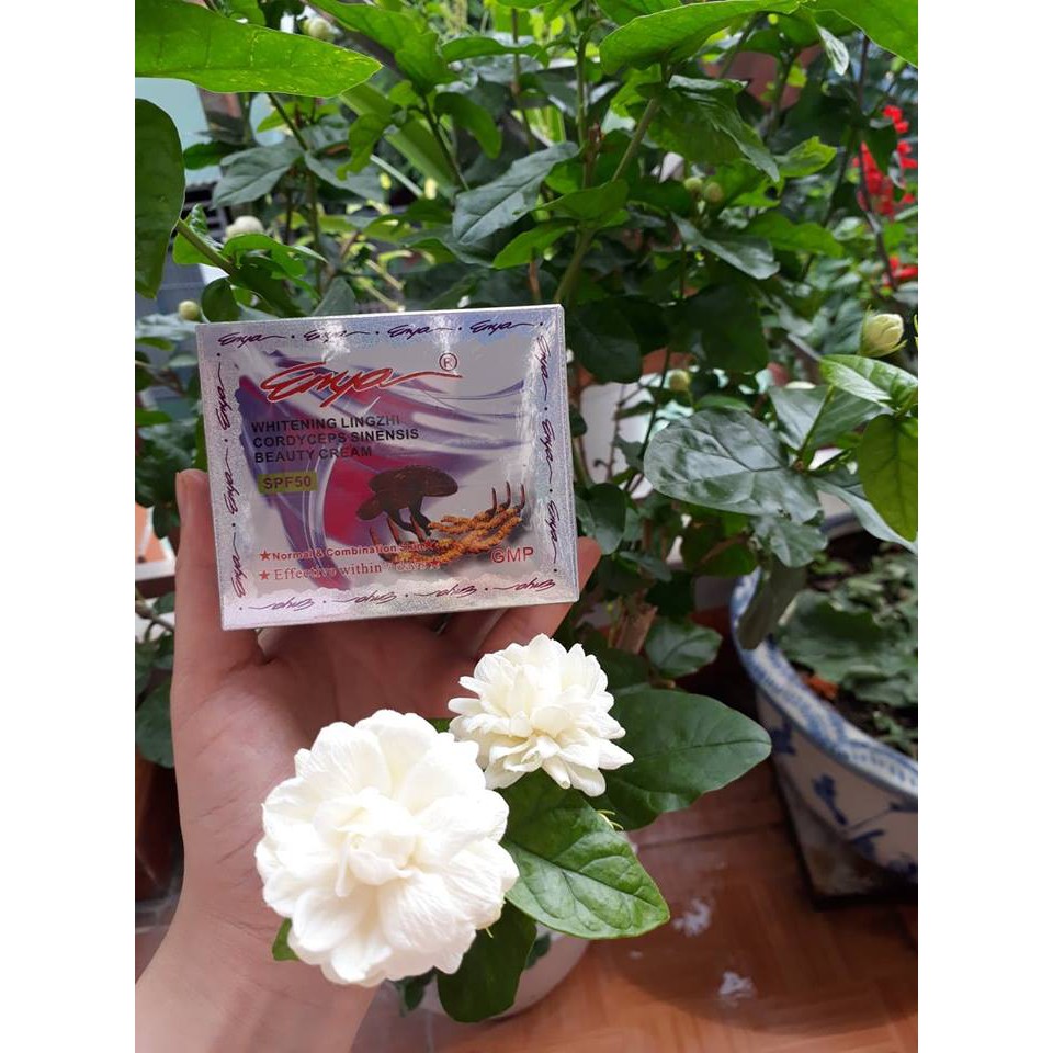 Kem Enya linh chi đông trùng hạ thảo