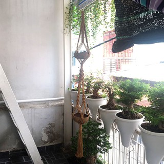 Dây treo chậu cây - Macrame