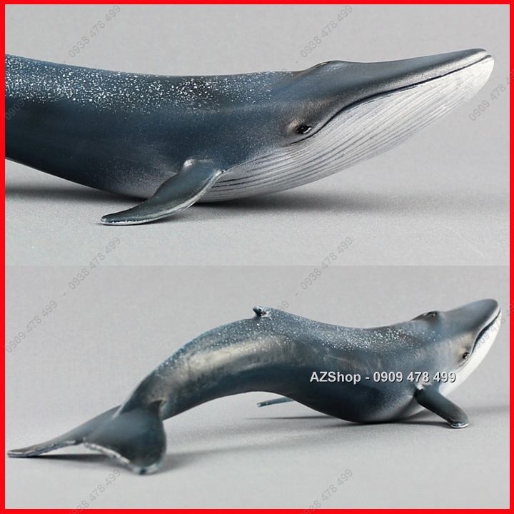 Mô Hình Cá Voi Xanh Dài 27cm - Thế Giới Động Vật - 7673.5
