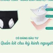 Quần kinh nguyệt tam giác chống tràn nguyệt san kháng khuẩn nhật bản