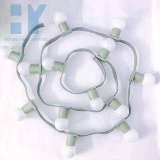 DÂY ĐUI ĐÈN TRANG TRÍ NGOÀI TRỜI, BIỂN HIỆU QUẢNG CÁO, VIỀN CỬA, VIỀN GƯƠNG - 1M CÓ 6 ĐUI-KHÔNG BÓNG