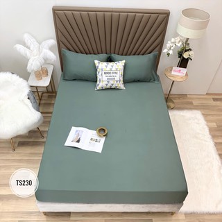 1.GA GỐI LỤA TENCEL TRƠN 1 MÀU