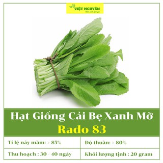 Hạt giống cải bẹ xanh mỡ rado 57 cho năng suất cao, dễ trồng và chăm sóc