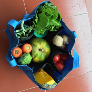 Túi vải đi chợ Nấm Chay Phúc Duệ