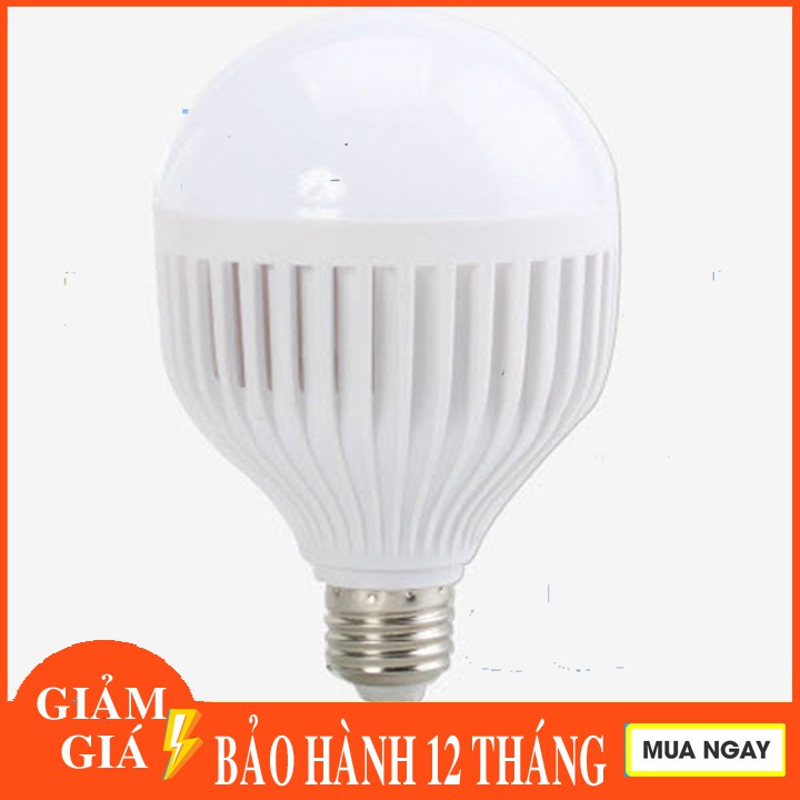 Bóng đèn Led tiết kiệm điện 15W( Combo 2 bóng)
