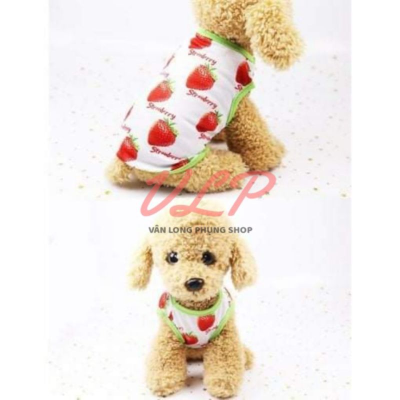 SET ÁO &amp; VÁY CHO THÚ CƯNG - QUẦN ÁO CHÓ MÈO HÌNH TRÁI DÂU