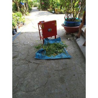 Máy băm cỏ, băm cỏ voi, băm chuối đa năng takyo 2hp