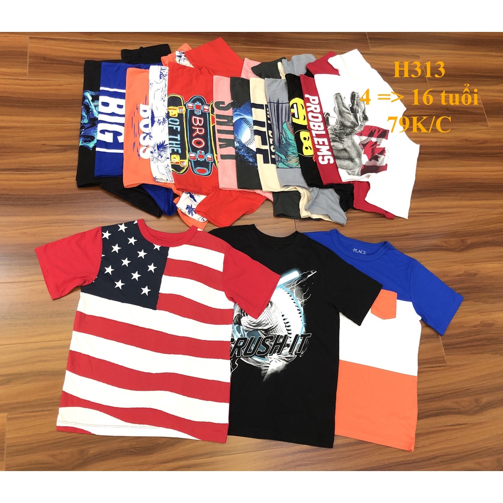 * Mã H313:  Áo bé trai cotton hàng VNXK dư xịn. Chất cotton mềm, thấm hút mồ hôi BC 9373