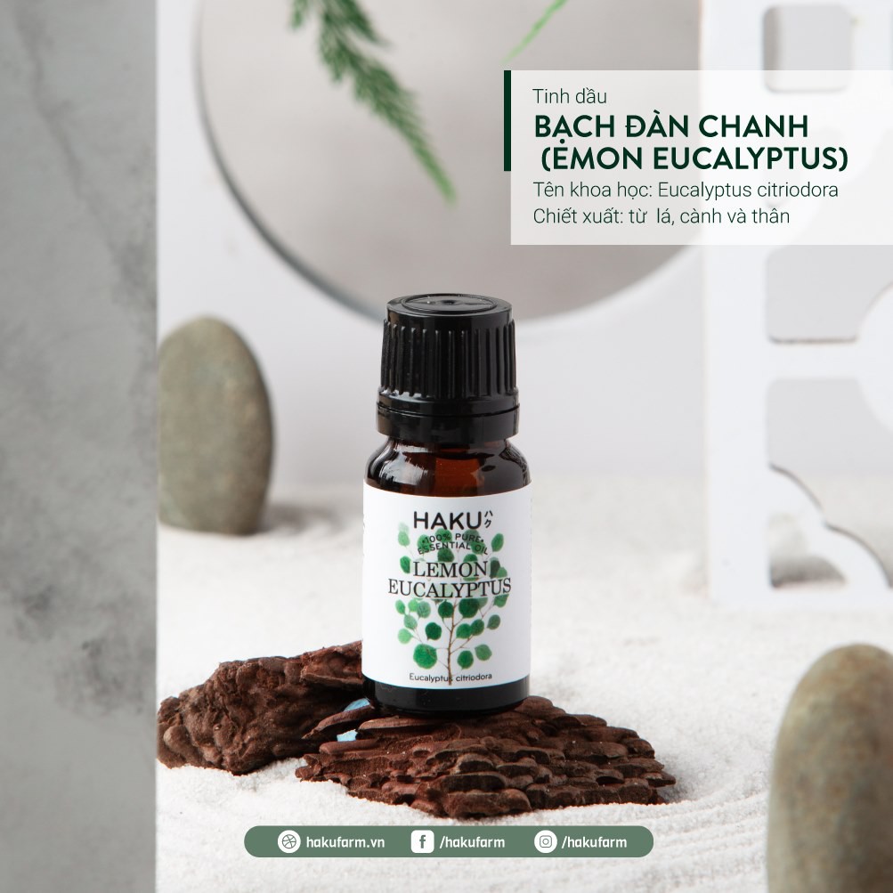 Tinh dầu bạch đàn chanh Lemon Eucalyptus