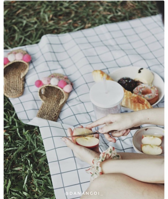 Khăn Nhựa Picnic / Khăn Trải Bàn Chống Thấm Nước