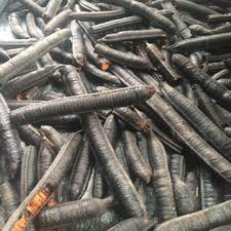 Cơm Quả ô môi hay quả Canh ki na