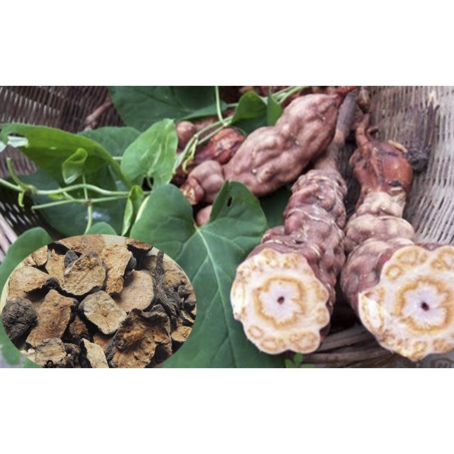 Hà Thủ Ô Đỏ Tuơi rừng 1kg loại chuẩn