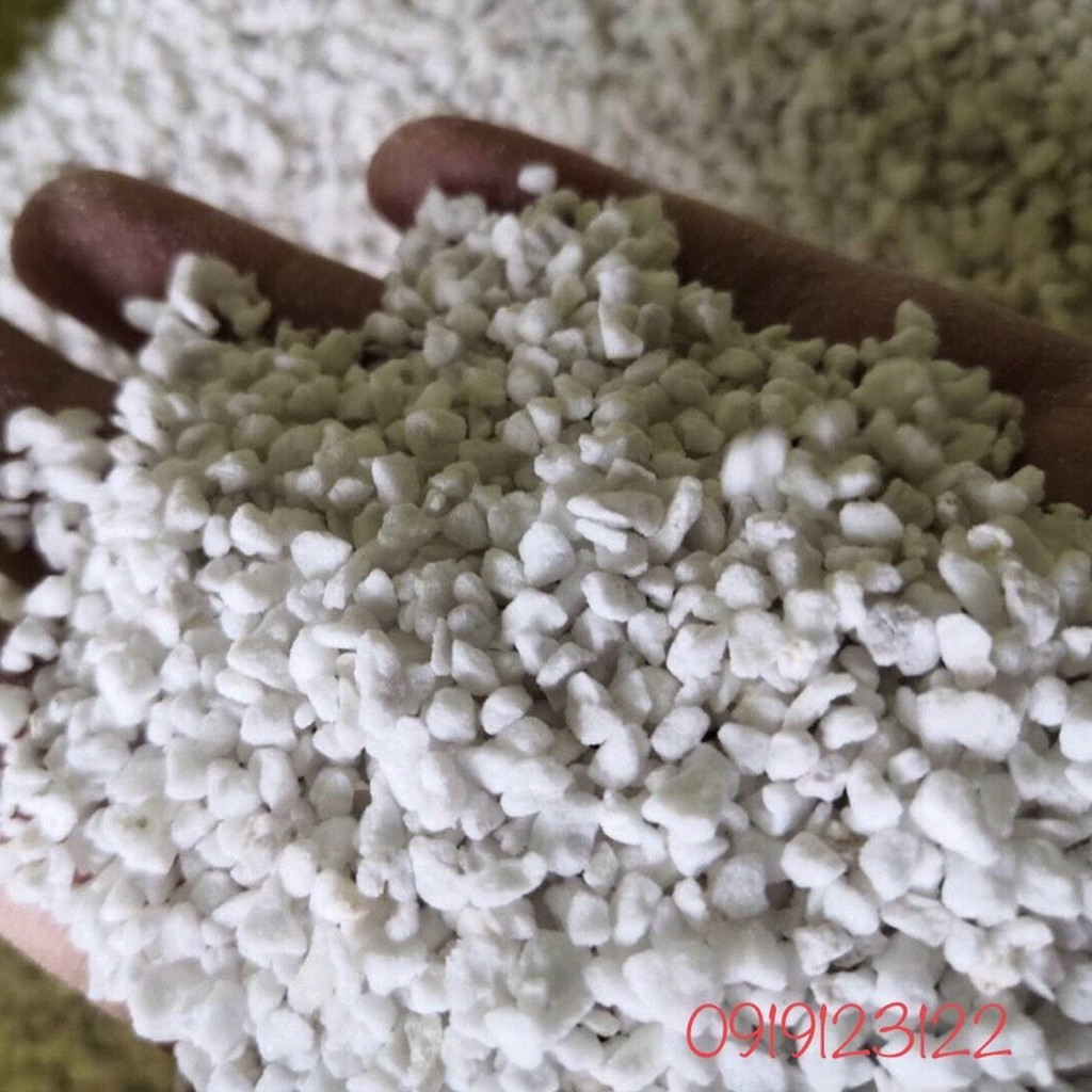 Đá PERLITE - 200g đủ size