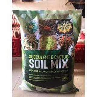 Đất chuyên trồng xương rồng, sen đá Soil Mix