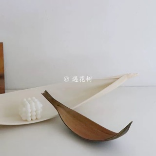 Lá cây khô tự nhiên trang trí decor
