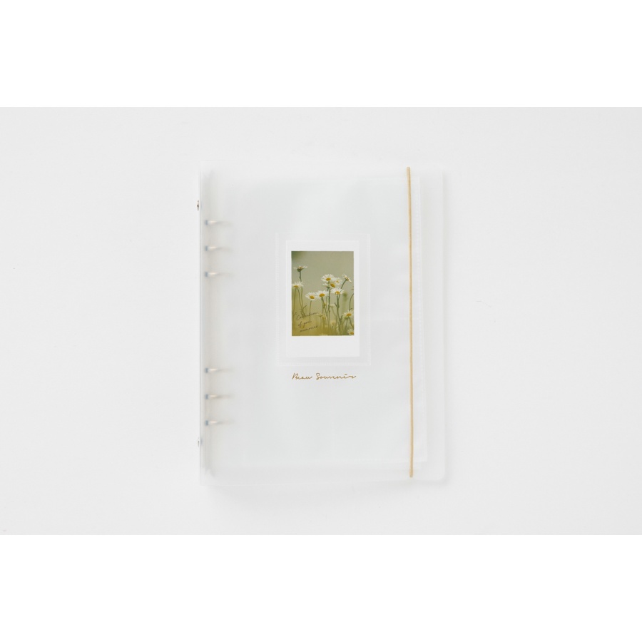 Binder Collect Book ARTBOX Hàn Quốc Đựng Ảnh Polaroid Photocard Nhãn Dán Họa Tiết Hoa Cúc 30 Sleeves
