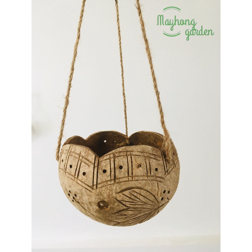 COMBO 5 GÁO DỪA TREO MIỆNG LƯỢN TRỒNG LAN CÂY CẢNH, SEN ĐÁ.... MAYHONG GARDEN