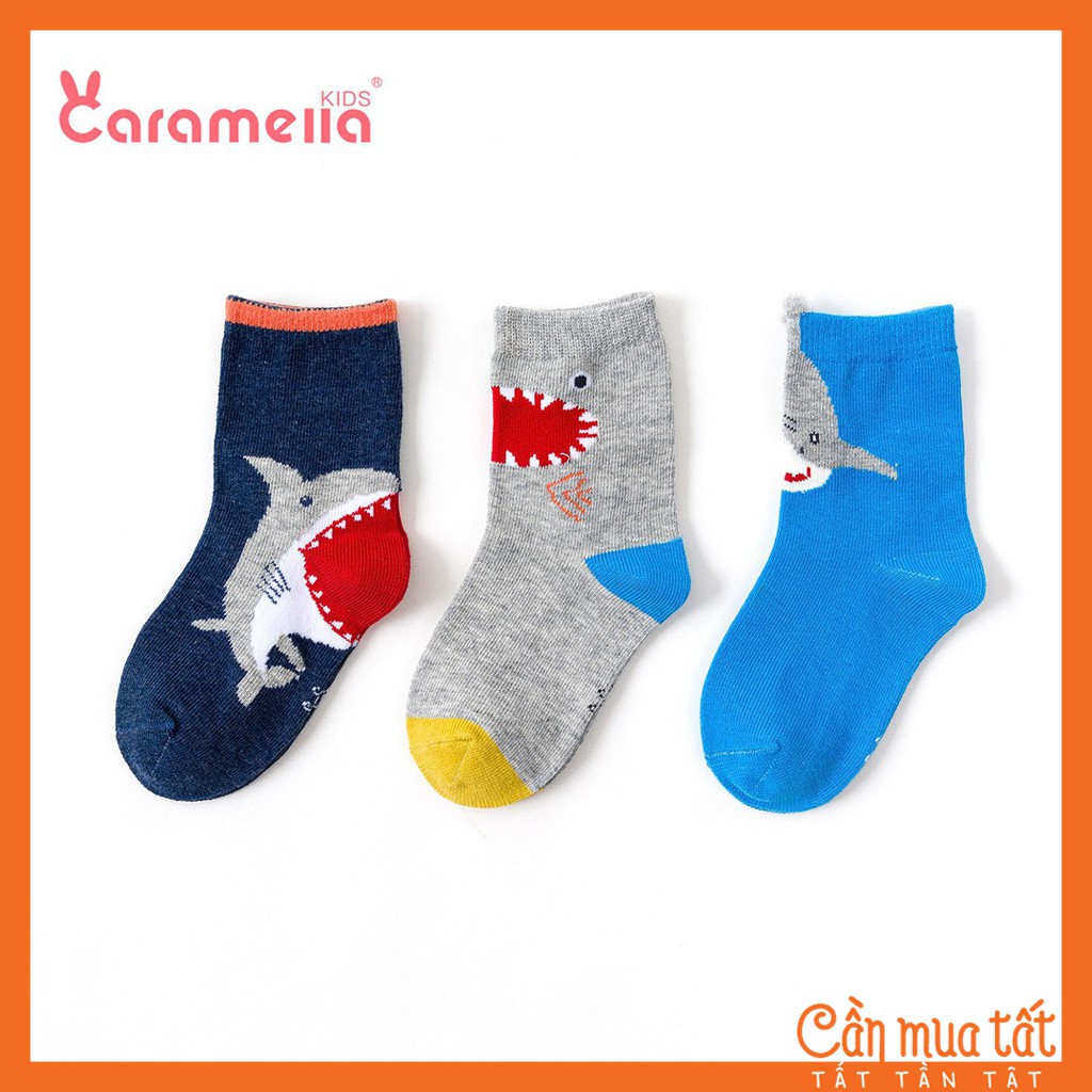 Tất trẻ em Caramella dành cho bé trai cotton, set 3 đôi vớ trẻ em thêu hoạt hình cá mập năng động kèm túi đựng