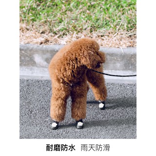 Giày đi mưa cho chó nhỏ không thấm nước Chó nhỏ Chó Teddy chó con che giày cún c