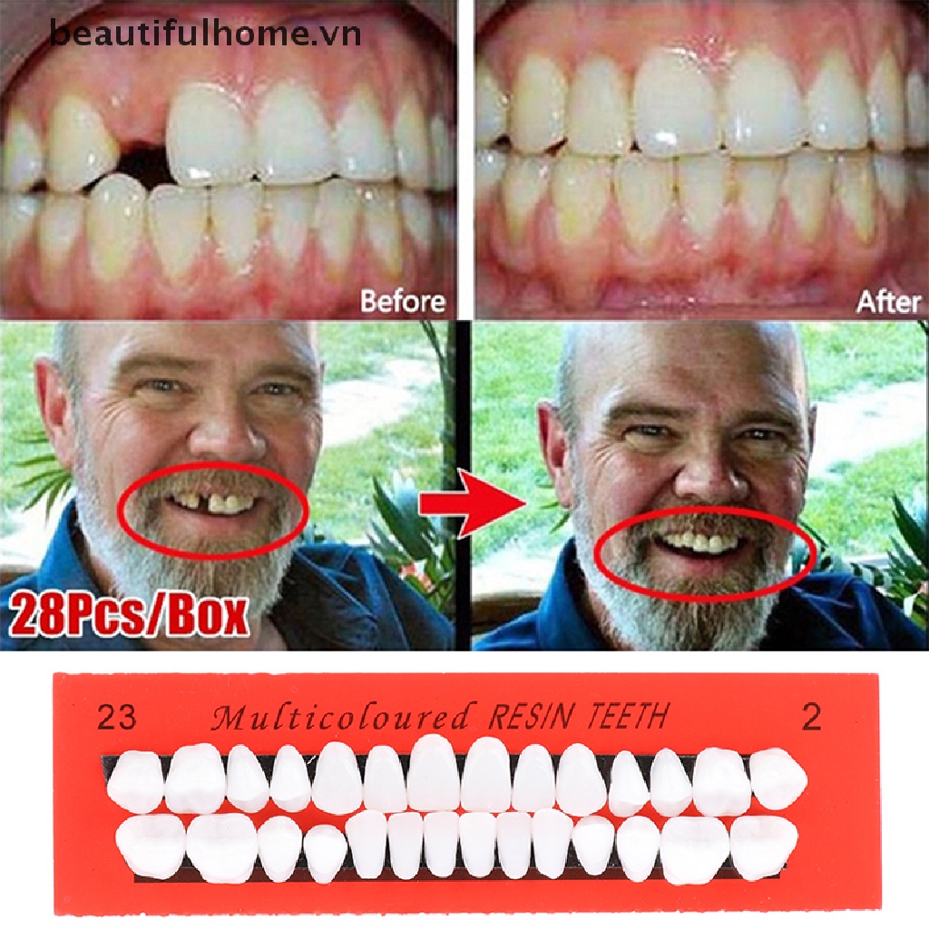 Bộ 28 Mô Hình Răng Giả Bằng Nhựa Hỗ Trợ