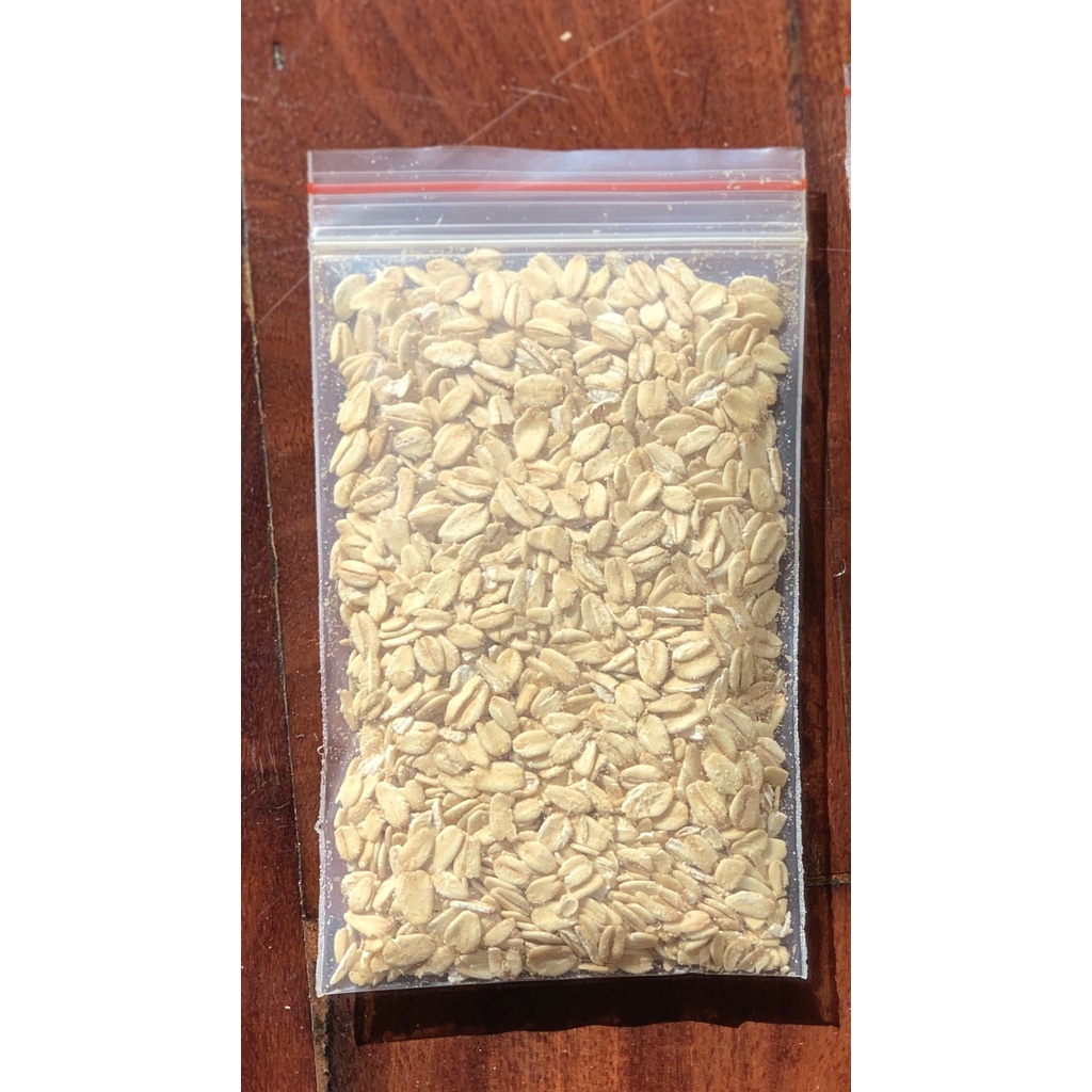 Yến mạch vỗ béo cho Hamster