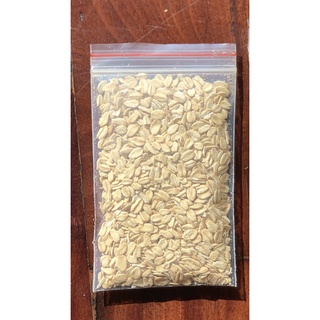 Yến mạch vỗ béo cho Hamster