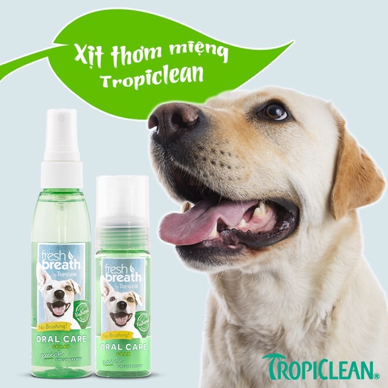 Vệ sinh răng miệng cho chó dạng bọt Tropiclean