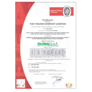 Gạo Hoa Lúa Xanh 5kg