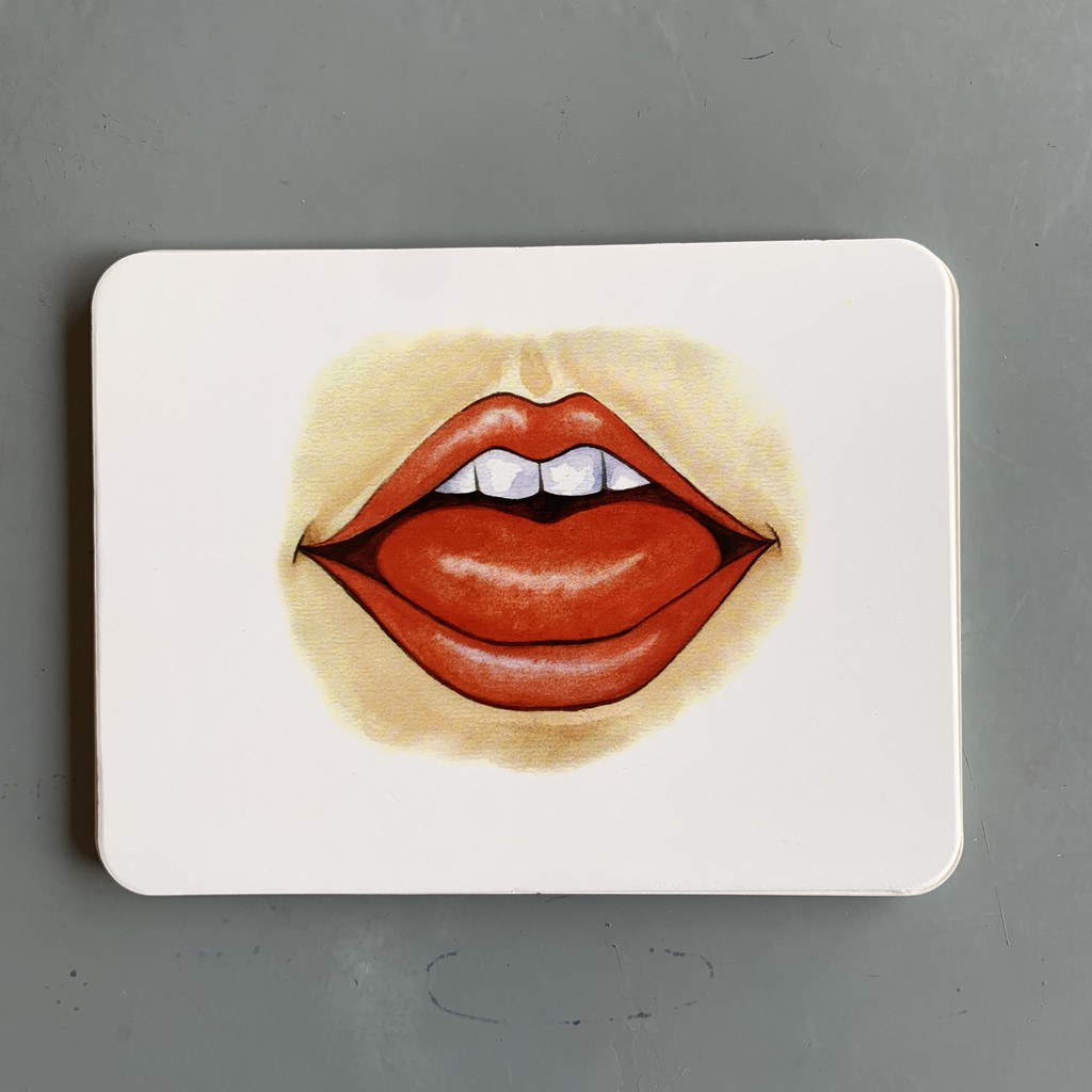 Bộ Thẻ Học Song Ngữ Anh Việt Chủ Đề Bản Thân Và Gia Đình Cho Bé Phát Triển Trí Tuệ Theo Phương Pháp Glenn Doman