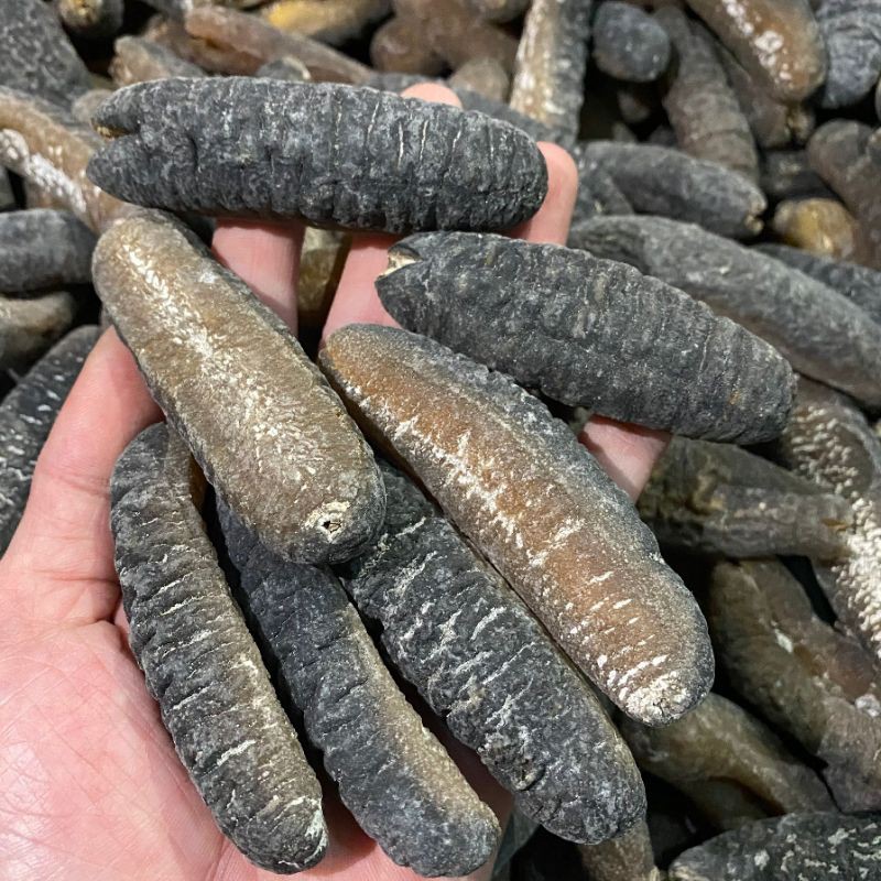 Hải sâm khô Úc ( 100g size 10 - 12 con )