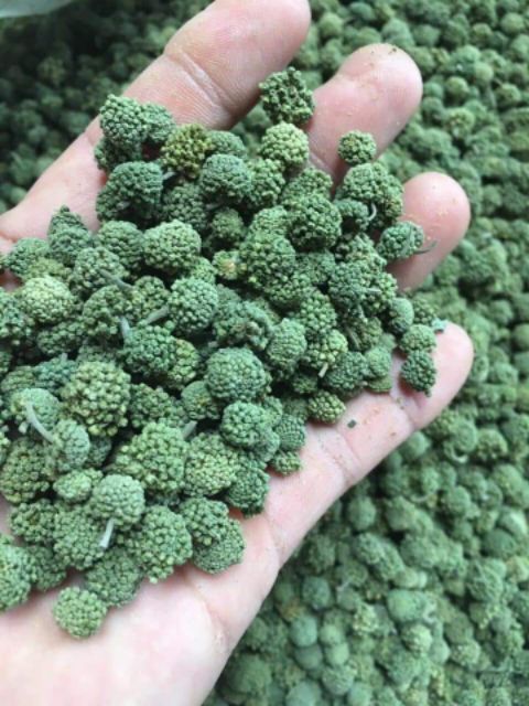 Nụ hoa tam thất loại( không cuống 500g)ảnh thật tự chụp | BigBuy360 - bigbuy360.vn