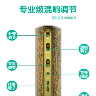 Micro Karaoke không dây JY-51
