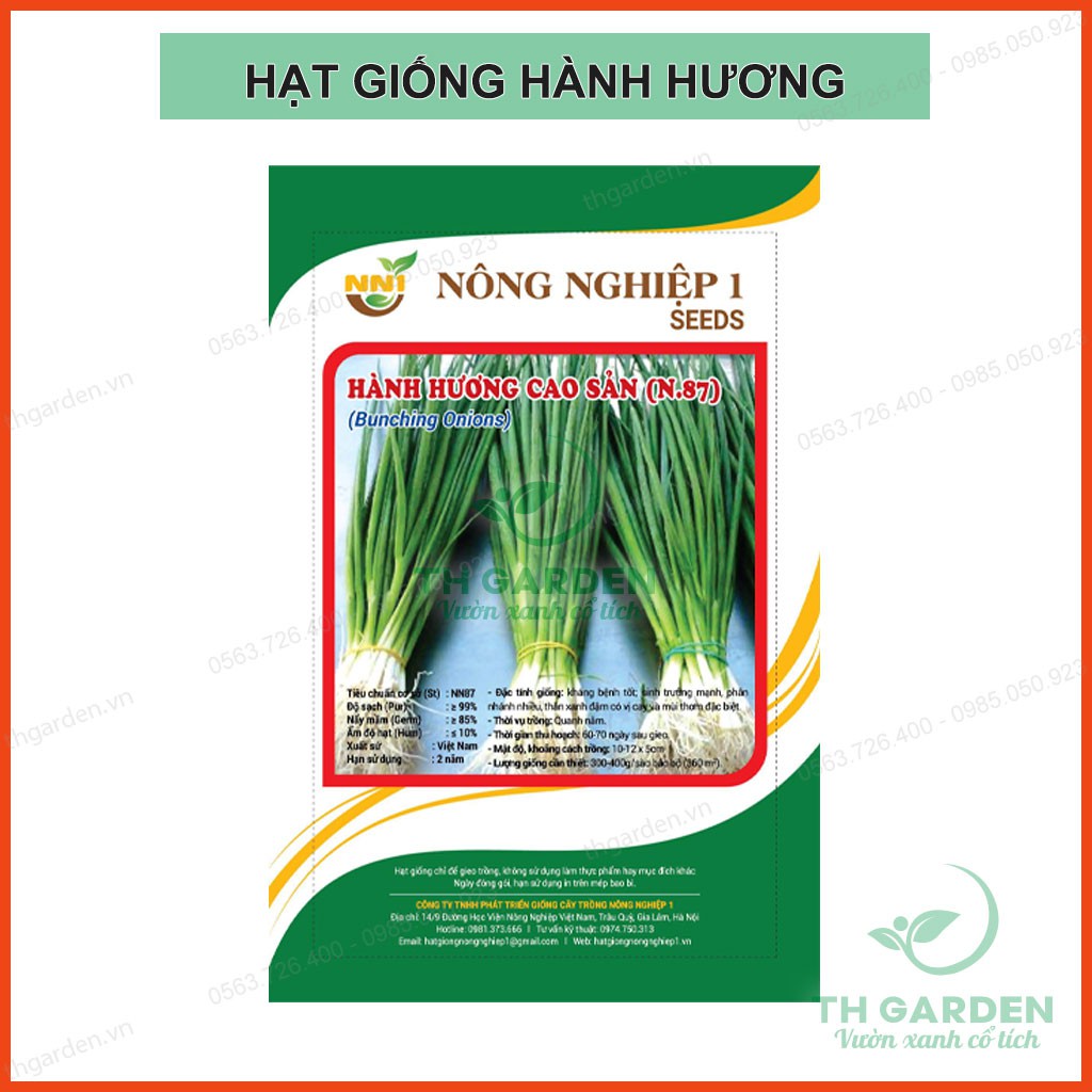 10Gram - Hạt Giống Hành Lá ( Hành Hương) Cao Sản - Rất Dễ Trồng Tại Nhà