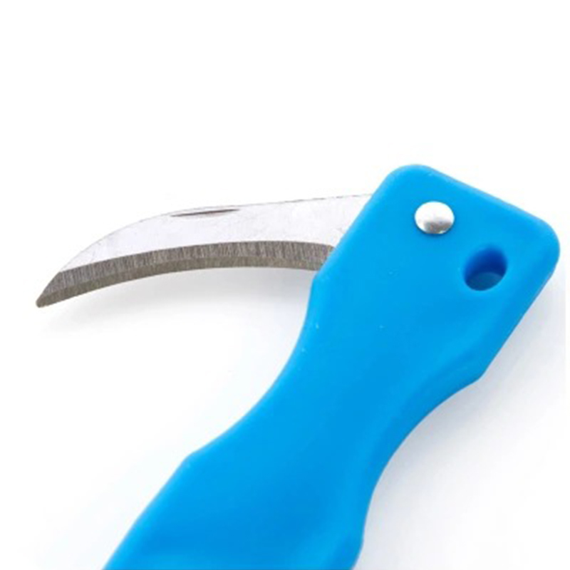 Dụng cụ đánh vảy cá Anaeat thiết kế có nắp thông minh tiện dụng