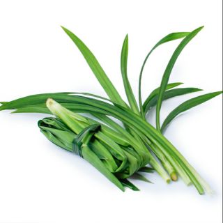 Lá dứa/ Lá nếp tươi 100g dùng nấu xôi chè, làm bánh, tạo màu thực phẩm