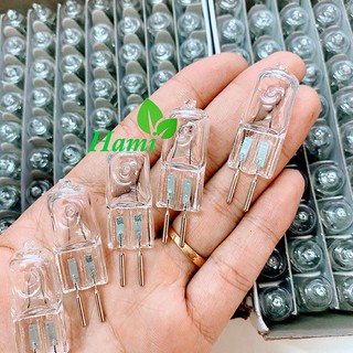 Bóng đèn xông tinh dầu halogen dành cho đèn xông tinh dầu