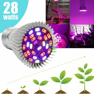 Đèn trồng cây, Đèn led trồng rau trong nhà, Led grow lights (28W, E27)