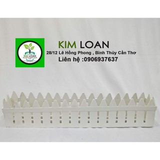 Combo 4 chậu hàng rào nhựa chuyên dùng cắm hoa 50x8x10cm
