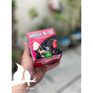 1 HỘP MEGA B12- thuôc bổ gà đá, giúp tăng lực, sung mãn. (10 vỉ)